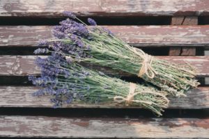 lavender: reduces stress